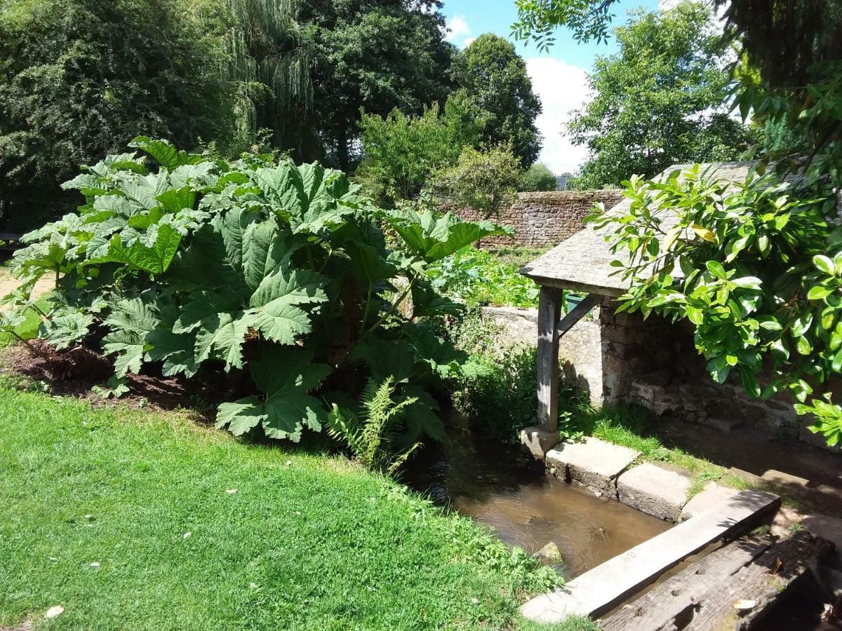 L'Orchidee Villa Lassay-les-Chateaux Exterior photo